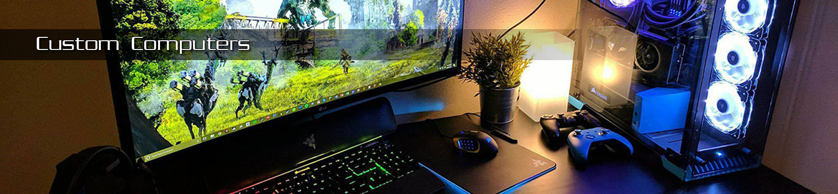 Custom Computer Systems